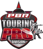 Pro Touring Division Logo